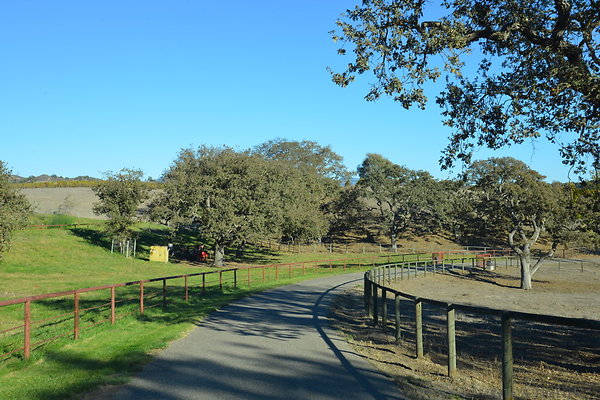 DSC 0683