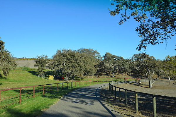 DSC 0684