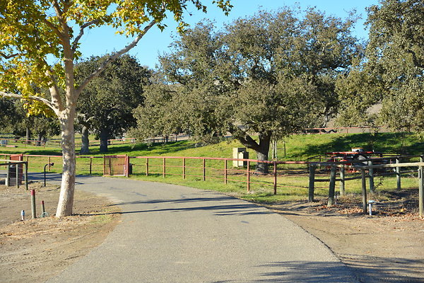 DSC 0692