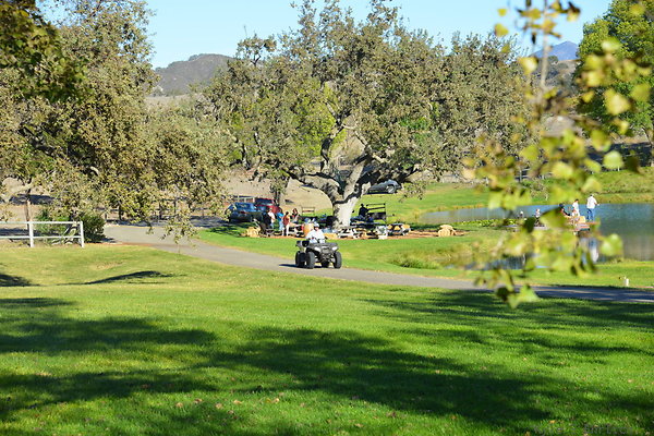 DSC 0488