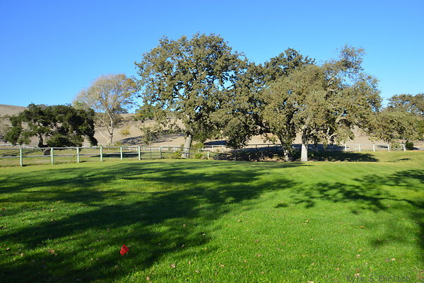 DSC 0501