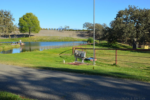 DSC 0559