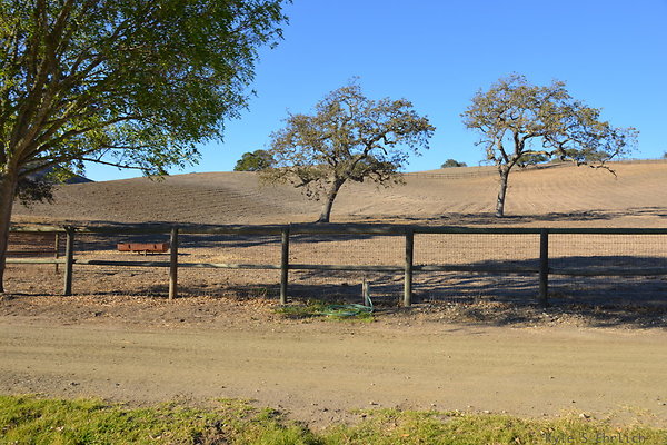 DSC 0647