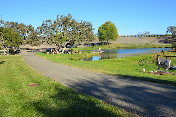 DSC 0555