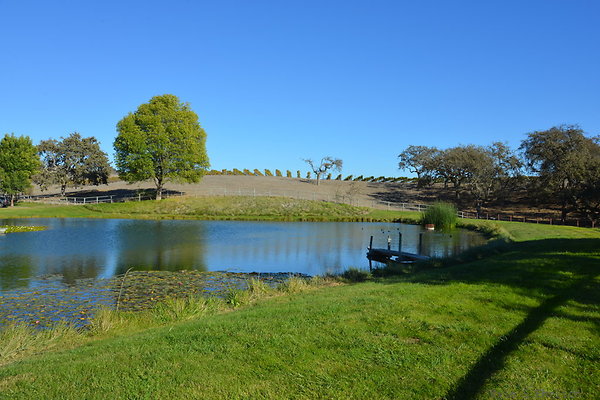 DSC 0586