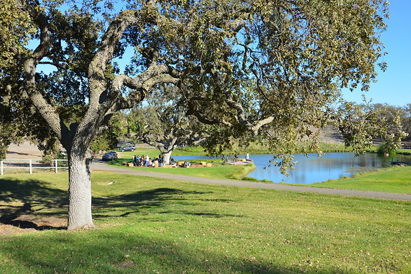 DSC 0456
