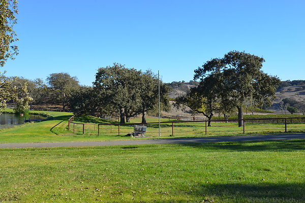 DSC 0457