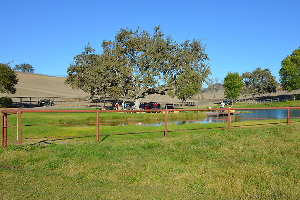 DSC 0572