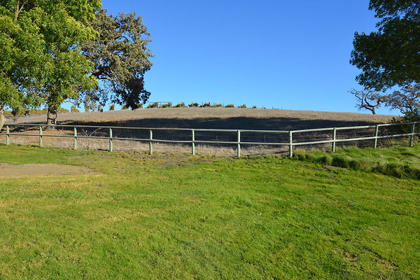 DSC 0650