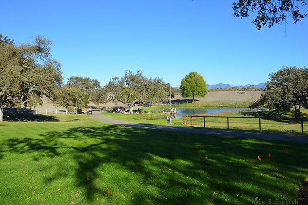 DSC 0502