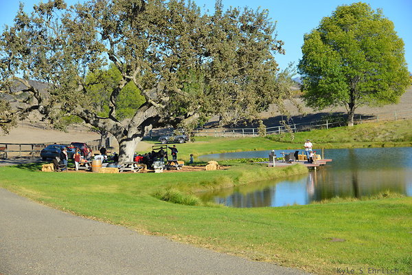 DSC 0565