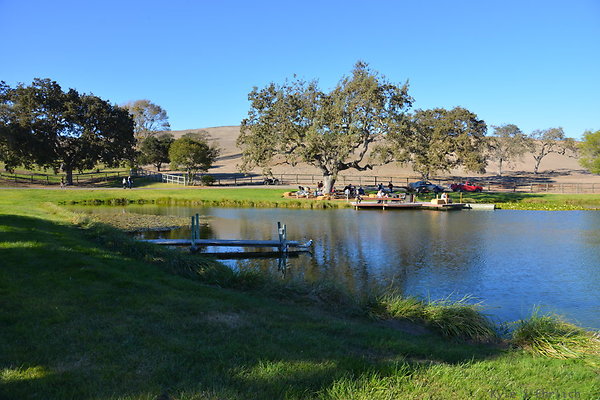 DSC 0608