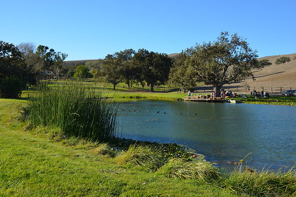 DSC 0640