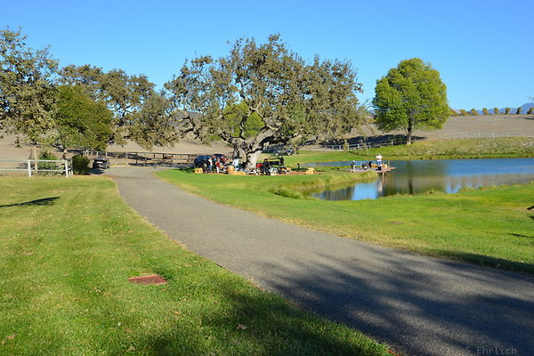 DSC 0558