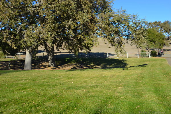 DSC 0557