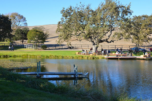 DSC 0609