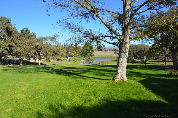 DSC 0480