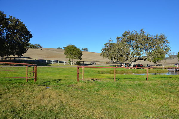 DSC 0576