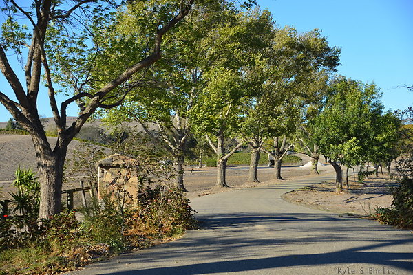 DSC 0805