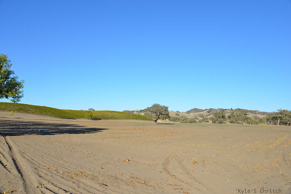 DSC 0801
