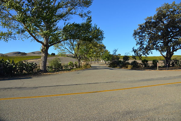 DSC 0820
