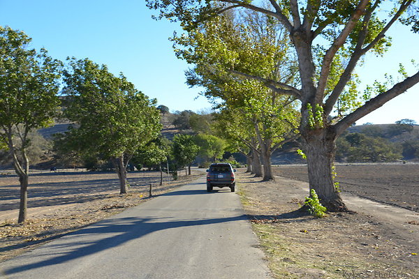 DSC 0779