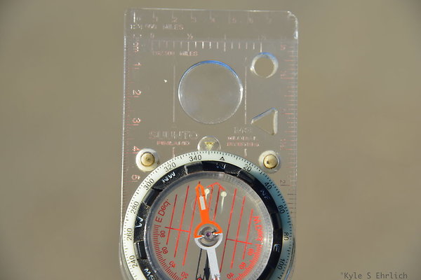 DSC 0803