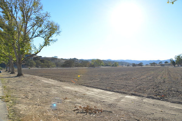 DSC 0786