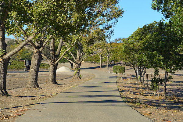 DSC 0795