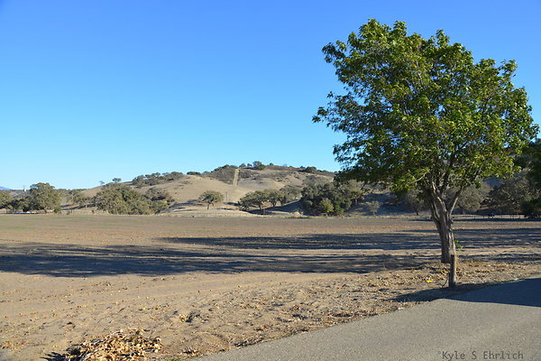 DSC 0784