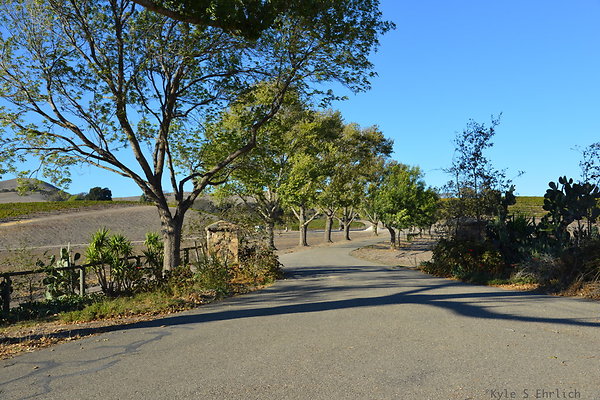 DSC 0807
