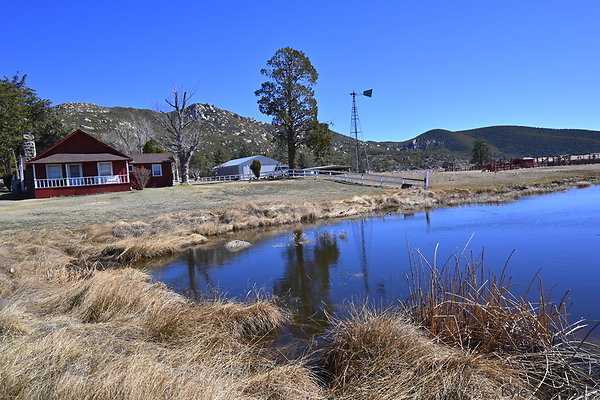DSC 7373