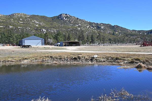 DSC 7408