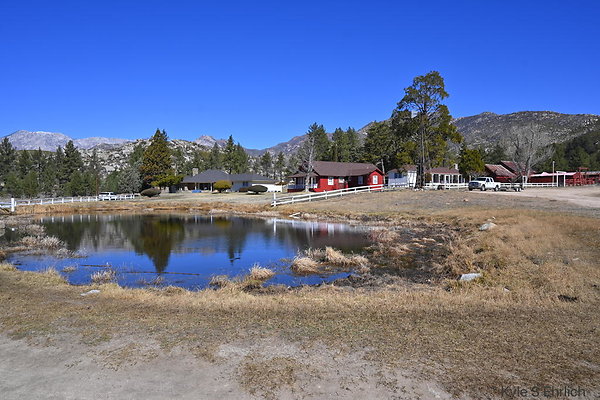 DSC 7316
