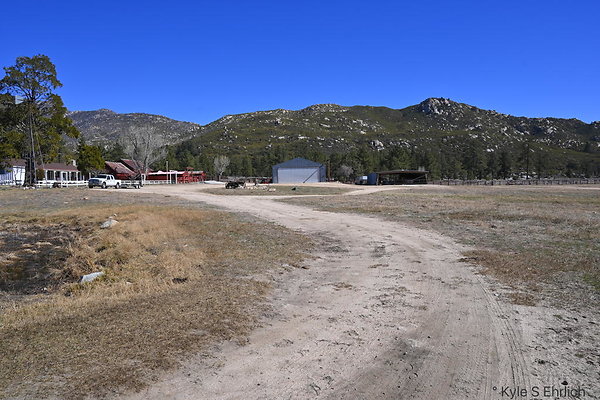 DSC 7317