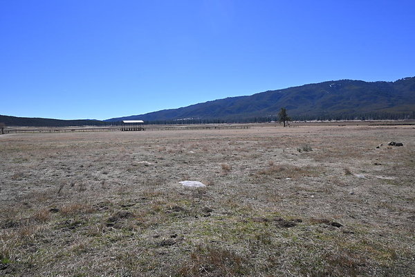 DSC 7312