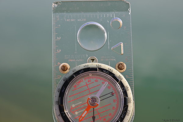 DSC 1241