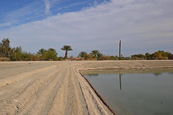 DSC 1244