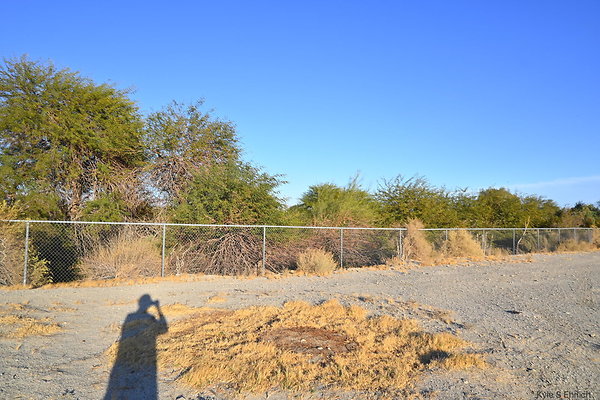 DSC 1686
