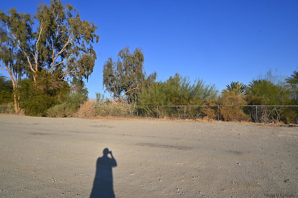 DSC 1634