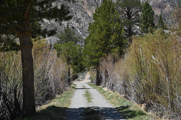 DSC 3260