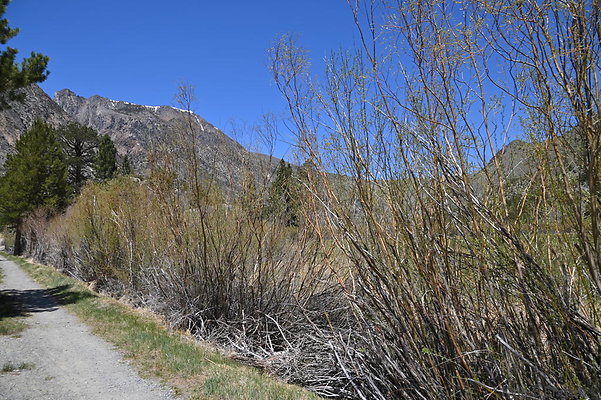 DSC 3252