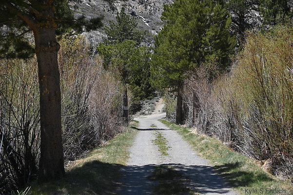 DSC 3261