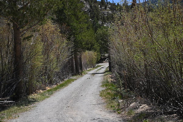 DSC 3237
