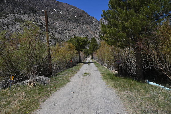 DSC 3026