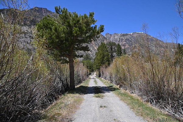 DSC 3251