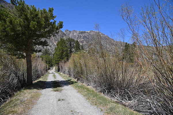 DSC 3262