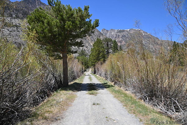 DSC 3257