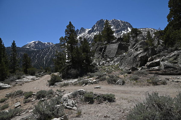 DSC 3105