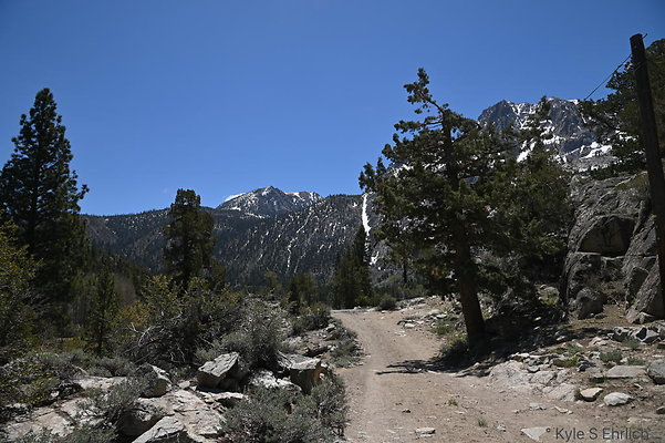 DSC 3132